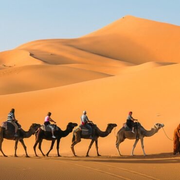 Sahara Desert Tours