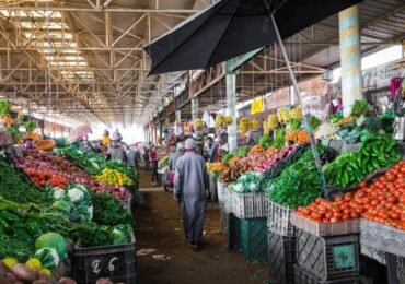 Agadir TravelTrek Morocco (4)