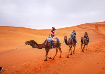 Merzouga TravelTrek Morocco (5)