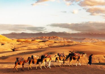 agafay 2 whith Traveltrek Morocco