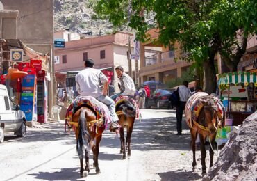 imlil 1Traveltrek Morocco